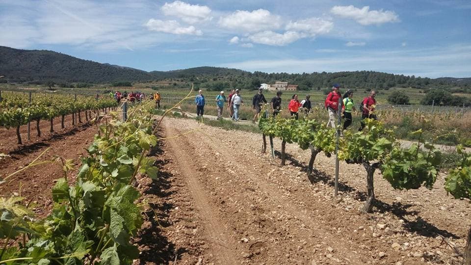 Seguint els passos de la Roser