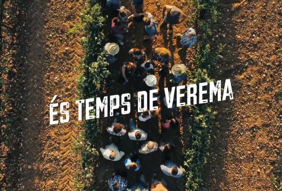 És temps de verema